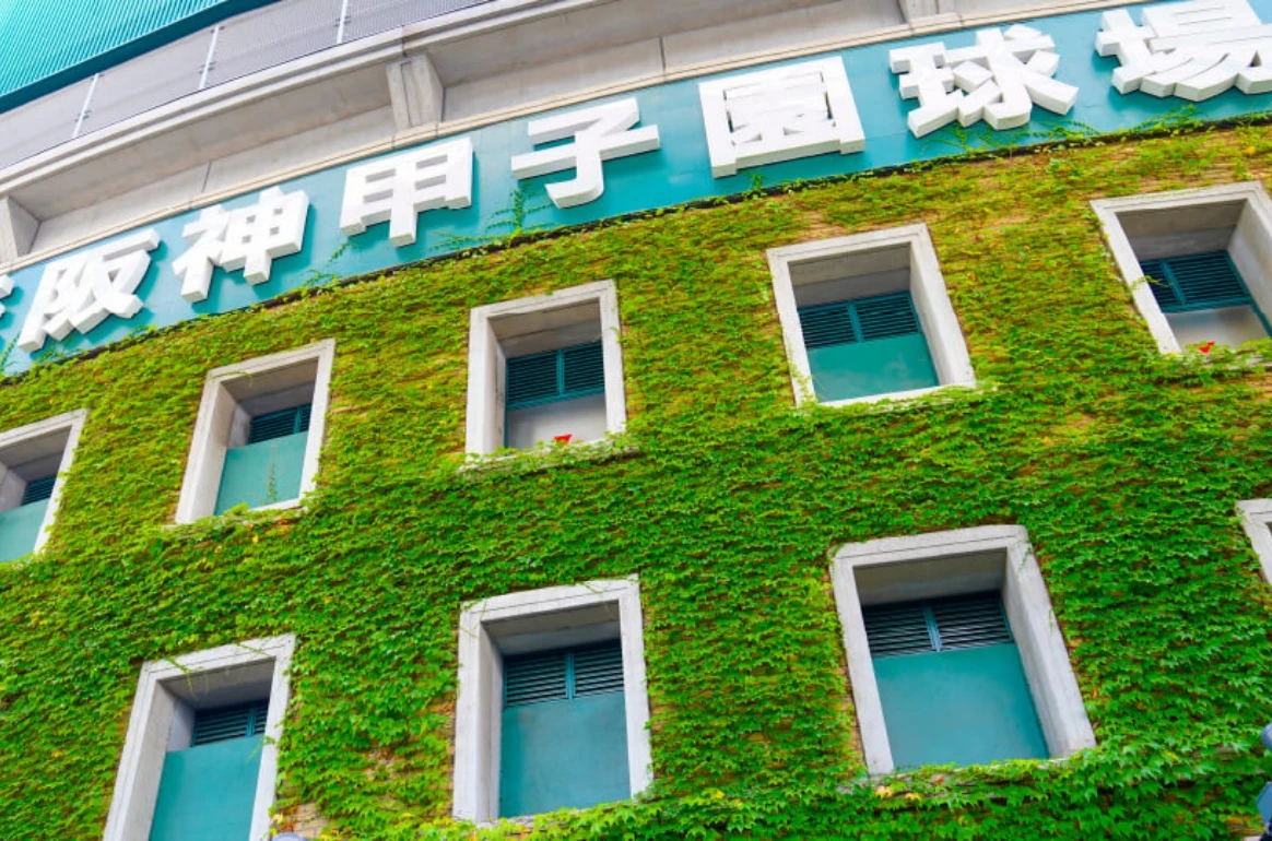 甲子園球場観戦ボックス <br class="sp">年間チケット